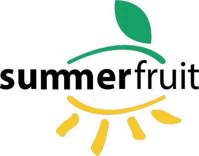 Comprar fruta online