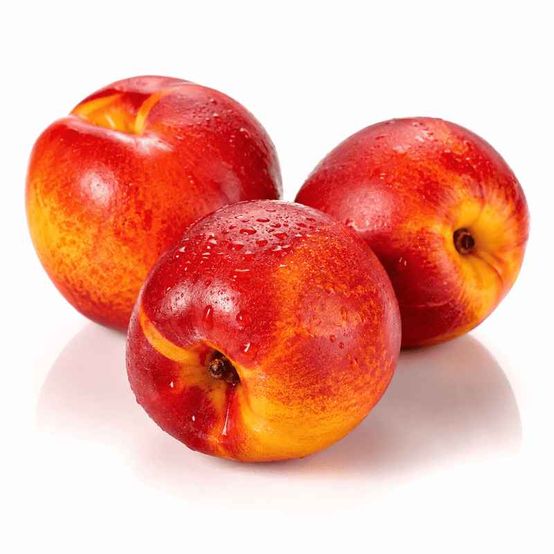 comprar nectarina online